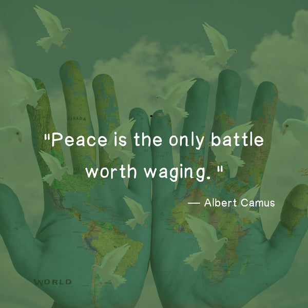 In the Face of Chaos: Tools for Finding Peace🕊️☮️